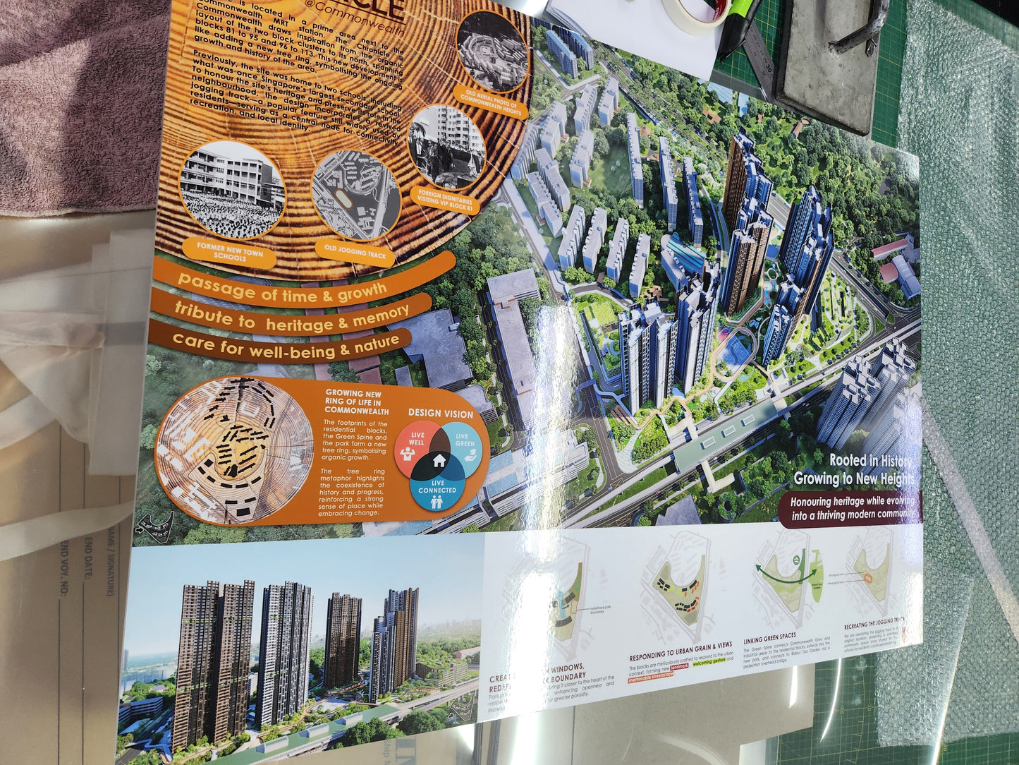 Laminated Photo Prints Mounted on Boards