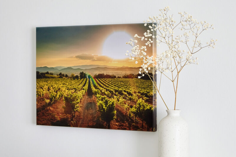 Floating Frame Archival Canvas